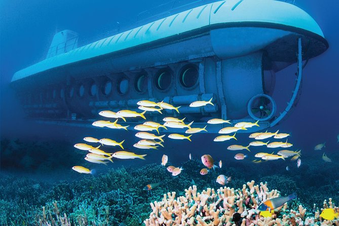 Big Island: Atlantis Submarine from Kona Beach - Live narration and headset options in four languages