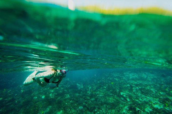 Big Island: Captain Cook Snorkel On A Power Catamaran With Lunch - Key Things That Make This Snorkel Tour Worth It