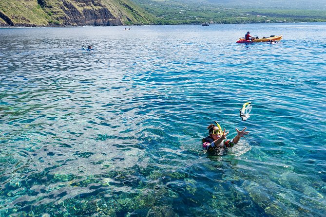 Big Island: Captain Cook Snorkel On A Power Catamaran With Lunch - Cruise Along the Volcanic Coast and Look for Dolphins