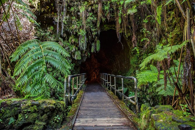 Big Island in a Day: Volcanoes Waterfalls Sightseeing and History - Thurston Lava Tube: The Eerie, Easy-Access Underground Look