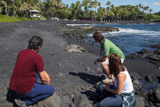 Big Island in a Day: Volcanoes Waterfalls Sightseeing and History - Hilo Drive-By and the Hamakua Coast Stops