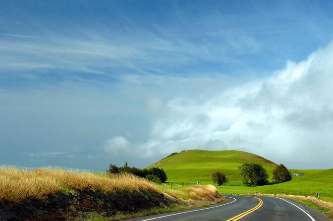 Big Island Kohala Canopy Zipline Adventure - Quick Hits Before You Go