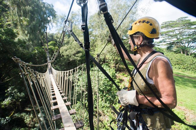 Big Island Kohala Canopy Zipline Adventure - Price and Value on Kohala Zipline (What You’re Really Paying For)