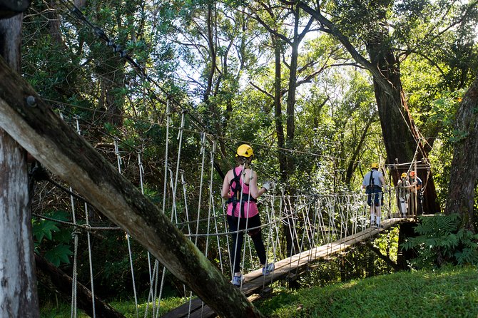 Big Island Kohala Canopy Zipline Adventure - What the 3 Hours Actually Feels Like Up There