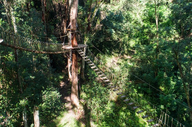 Big Island Kohala Canopy Zipline Adventure - Gear and What to Wear: Closed-Toe Shoes, Lightweight Clothes, and Hair Rules