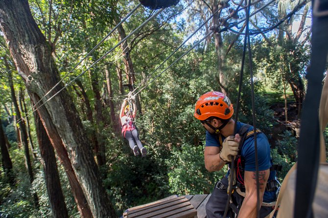 Big Island Kohala Canopy Zipline Adventure - Weight Limits and Health Checks: The Rule That Can Stop Your Day