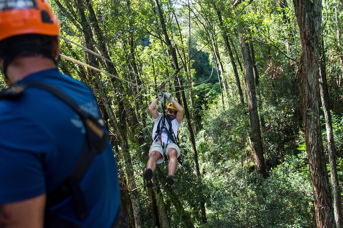 Big Island Kohala Canopy Zipline Adventure - The Kohala Course: Multiple Zips, Suspension Bridges, and Real Canopy Views
