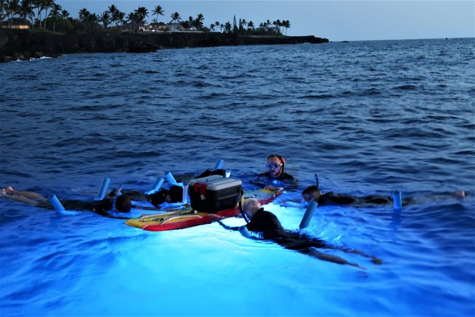 Big Island: Kona Manta Ray Snorkel Tour in Keauhou Harbor - The Manta Ray Guarantee: What It Really Does for You