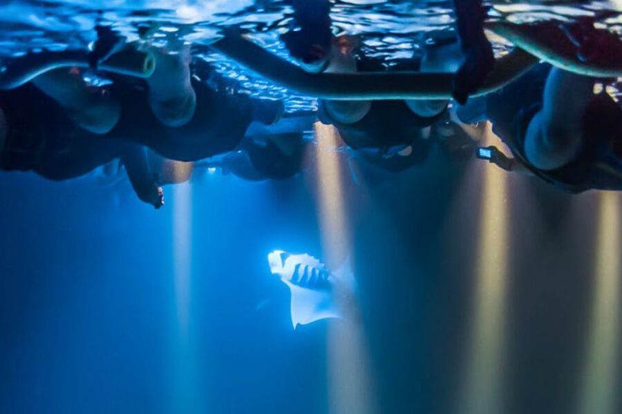 Big Island: Night Swim with Manta Ray with Hot Chocolate - Should you book this Sea Quest Hawaii manta night swim?