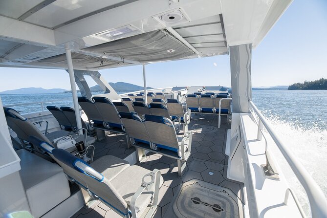 Big Island: Pelagic Whale Watch Tour - Boat comfort: the 46-foot Artemis and motion reality