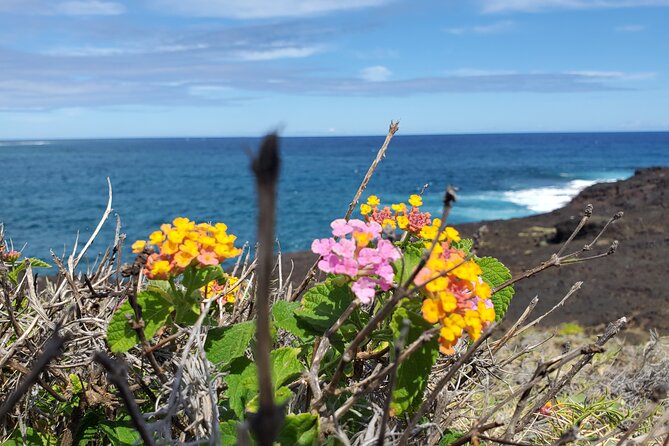 Big Island Southside ATV Tour - What this ATV tour is really like on the Big Island south coast