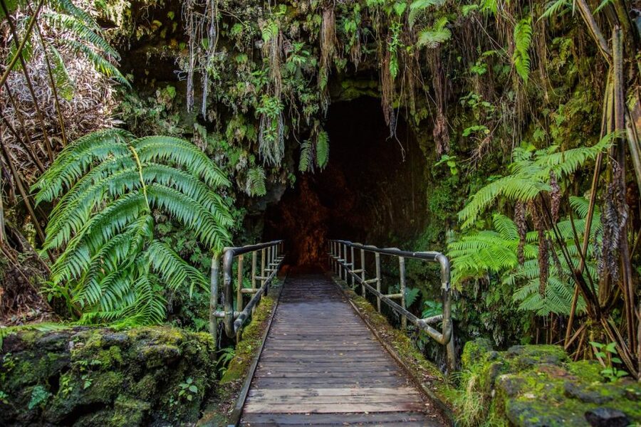 Big Island: Volcanoes, Waterfalls, & Coffee Farm Day-Trip - Best Fit for You (and Who Should Skip It)