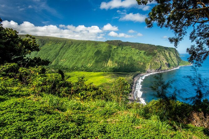 Big Island Waterfalls Tour with Swimming and Botanical Garden - Akaka Falls State Park: The 442-Foot Gorge Plunge