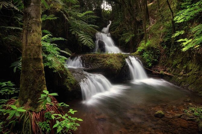 Big Island Waterfalls Tour with Swimming and Botanical Garden - Hamakua Coast Driving and the Saddle Road Return