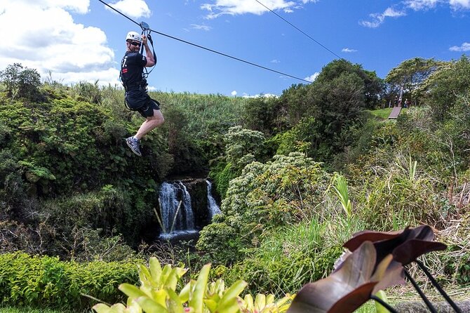 Big Island Zipline Tour Near Akaka Falls (250-ft Waterfall!) - Why this Hilo zipline near Akaka Falls is different