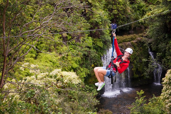 Big Island Zipline Tour Near Akaka Falls (250-ft Waterfall!) - The agriculture theme and fruit tasting between lines