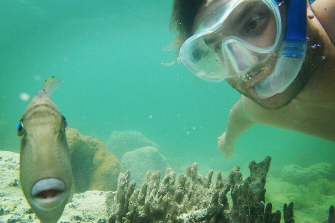 Biologist Owned & Operated: Dolphin Watching & Guided Snorkeling - Who this tour fits best (families, couples, and first-time snorkelers)