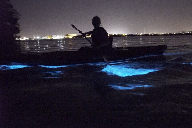 Bioluminescence Kayak Tour - Dinoflagellates in Summer vs Comb Jellies in Winter