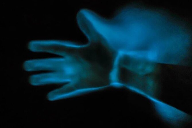 Bioluminescence Kayak Tour - Wildlife Chances: Manatees, Dolphins, and Mullets Jumping Like Lightning