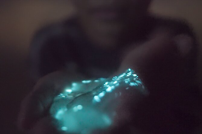 Bioluminescence Kayak Tour - Value: Why This Tour Often Feels Like Worth Every Penny