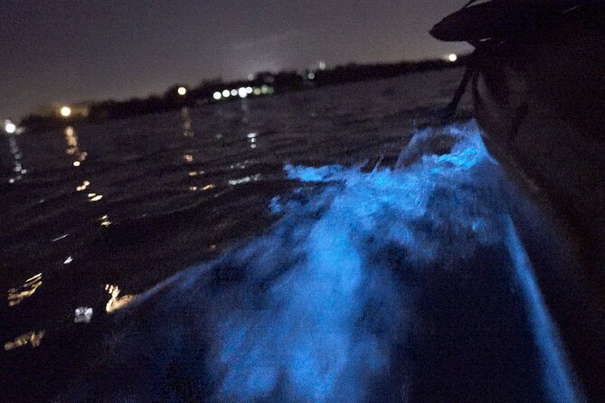 Bioluminescence Kayak Tour - Who Should Book This Bioluminescence Kayak Tour