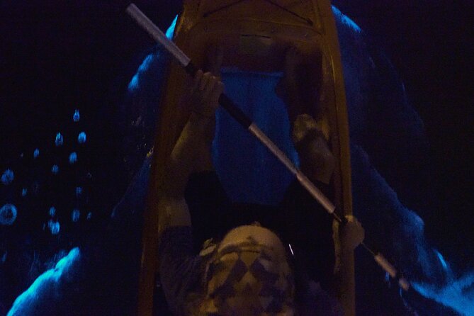 Bioluminescence Kayak Tour - The 2-Hour Paddle Flow, from Kiwanis Island Park to the Lagoon