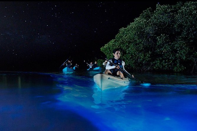Bioluminescence Night Kayaking Tour of Merritt Island Wildlife Refuge - Bioluminescence on Merritt Island: Why Your Paddle Makes Light