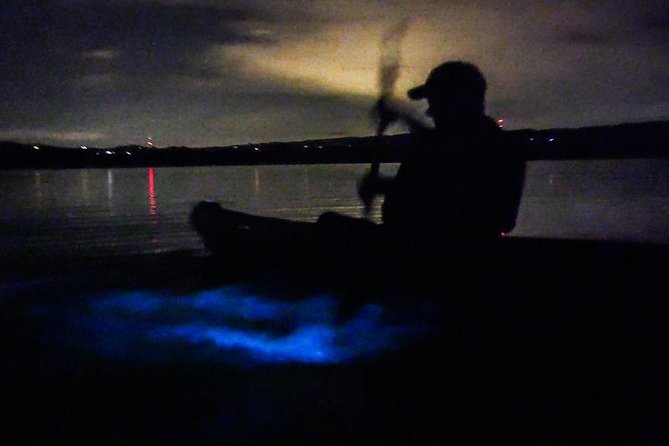 Bioluminescence Night Kayaking Tour of Merritt Island Wildlife Refuge - Who This Kayak Tour Fits Best, and Who Should Think Twice