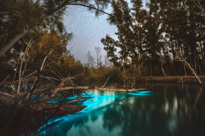 Bioluminescent Clear Kayak Tours in Titusville - Key takeaways before you go