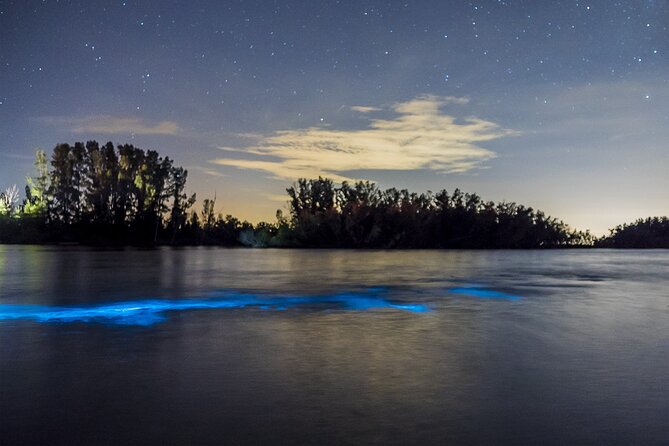 Bioluminescent Clear Kayak Tours in Titusville - A night kayak where bioluminescence shows up under your hull