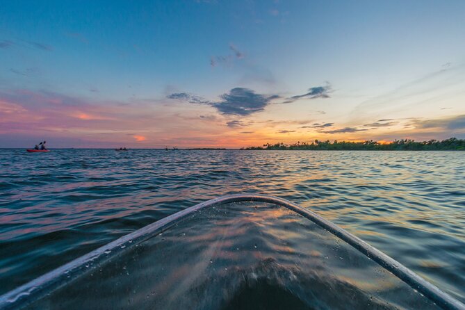 Bioluminescent Clear Kayak Tours in Titusville - Price and value: $120 for 90 minutes of a rare night show