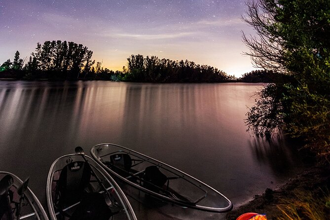 Bioluminescent Clear Kayak Tours in Titusville - Wildlife to watch for, from fish below to gators near shore
