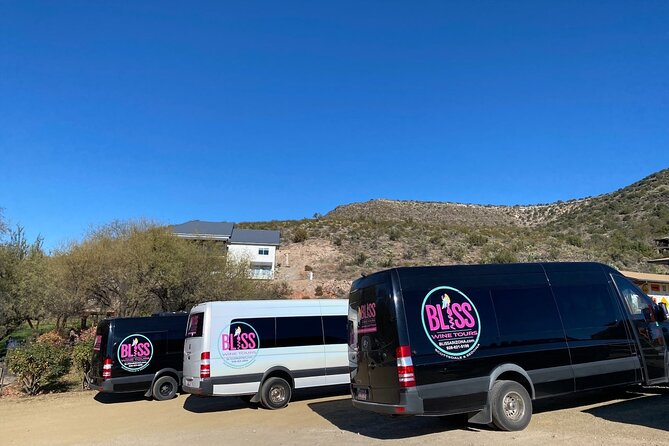 Bliss - Sedona’s Most Luxurious Wine Tour - Lunch Included! - How your guide makes the day click: terroir talk plus real conversations