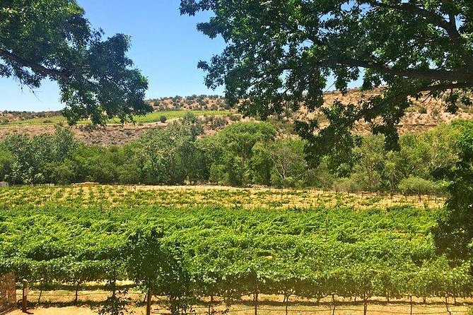 Bliss - Sedona’s Most Luxurious Wine Tour - Lunch Included! - Who should book this Sedona wine tour