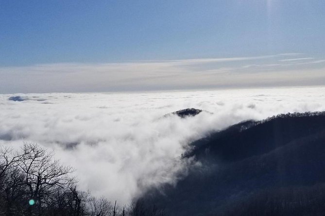 Blue Ridge Parkway Waterfalls Hiking Tour from Asheville - The guide factor: Tony’s storytelling, timing, and picture help