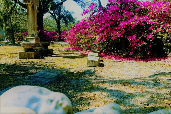 Bonaventure Cemetery Scenic History Art Symbols and Film Tour - Names You’ll Hear, and How Their Graves Fit Savannah