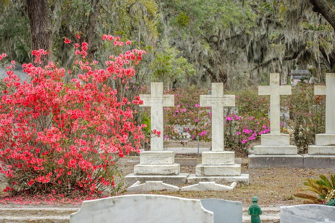 Bonaventure Cemetery & Wormsloe State Historic Site Tour - Wormsloe State Historic Site: Live Oaks First, Tabby Ruins Second
