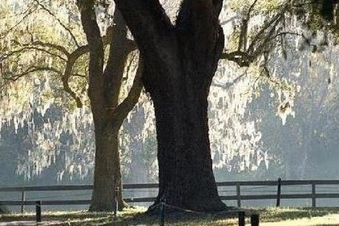 Boone Hall Plantation Admission & Tour with Transportation from Charleston - Entering the plantation: the front porch house tour and why timing matters