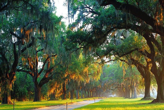 Boone Hall Plantation All-Access Admission Ticket - Boone Hall All-Access Pass: What You Are Really Buying