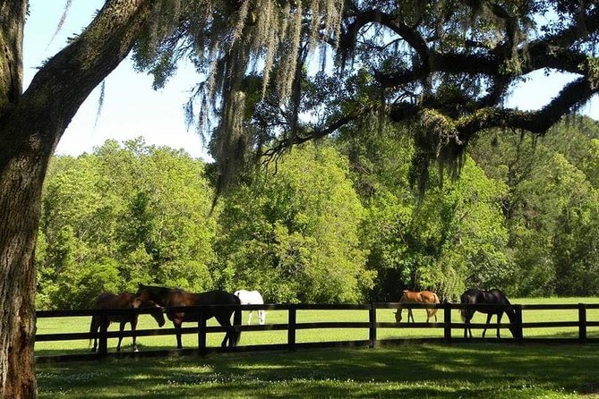 Boone Hall Plantation All-Access Admission Ticket - Timing and Pacing: Getting the Most From 2 to 4 Hours
