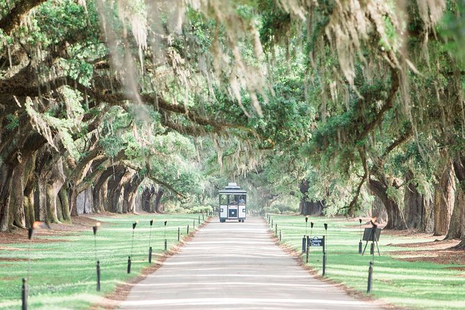 Boone Hall Plantation All-Access Admission Ticket - First Stop Energy: The Avenue of Oaks and Your House Tour Expectations