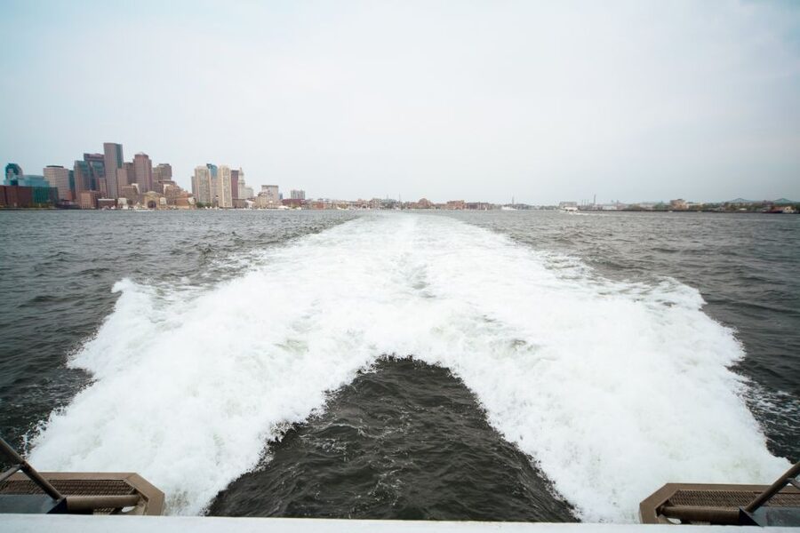 Boston: City Cruises Whale Watching Cruise - Key things to know before you board
