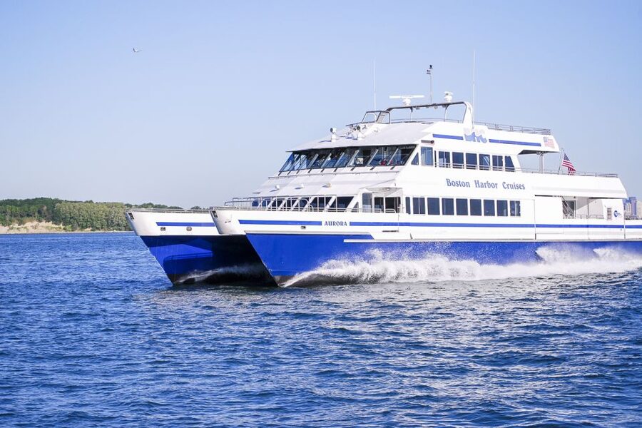 Boston: City Cruises Whale Watching Cruise - Stellwagen Bank whale watching: what the 1.5 hours feels like