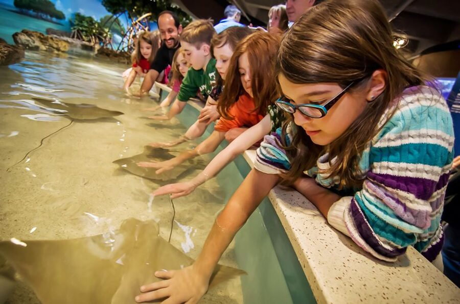 Boston: New England Aquarium Entry + Optional Simons Theatre - Key things that make this visit worth your time