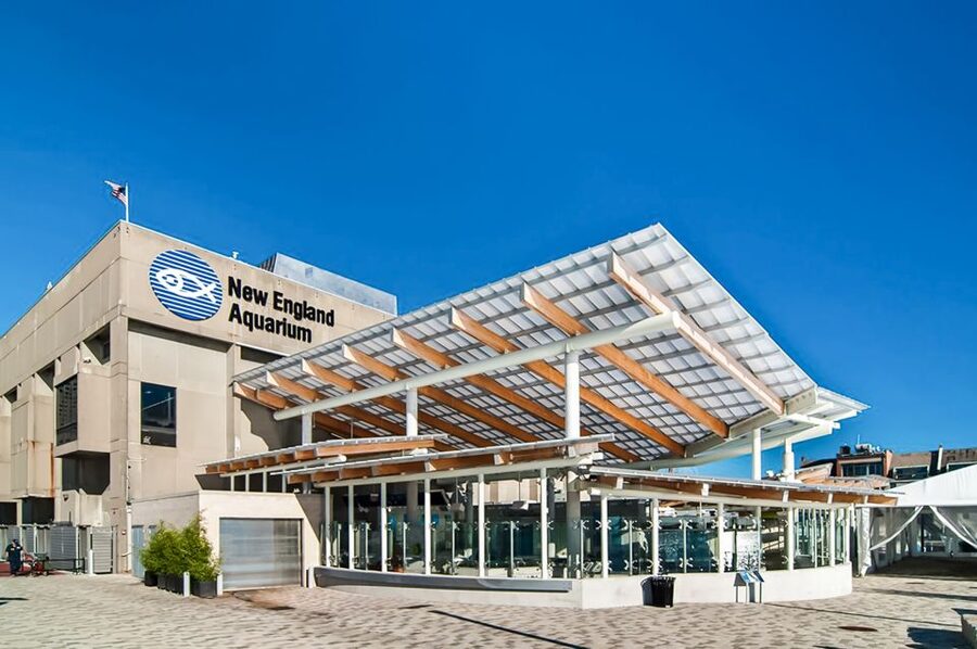 Boston: New England Aquarium Entry + Optional Simons Theatre - Giant Ocean Tank Spiral Walkway and 360 Views