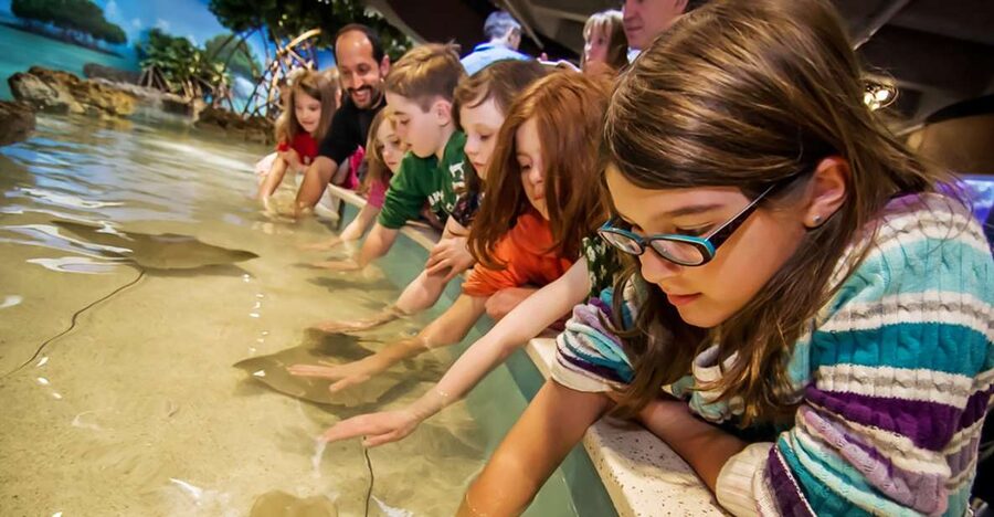 Boston: New England Aquarium Entry + Optional Simons Theatre - How Much Time to Plan for a One-Day Aquarium Visit