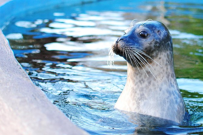 Boston Pass: 40+ Things To Do - Includes Franklin Park Zoo - Boston Pass at a glance: $79 and 40-plus admissions