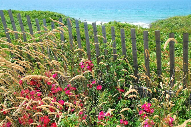 Boston to Martha's Vineyard Day Trip with Optional Island Tour - Ferry Docking: Oak Bluffs vs Vineyard Haven Changes Your Day