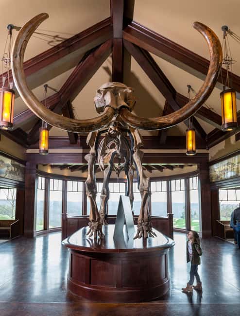 Branson: Top of the Rock Ozarks Heritage Preserve - Ancient Ozarks Natural History Museum: A Big Indoor Stop With Real Focus