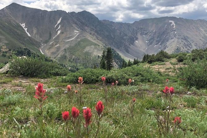Breckenridge Ultimate Full Day Mountain Tour from Denver - Guides Make or Break a Day Like This